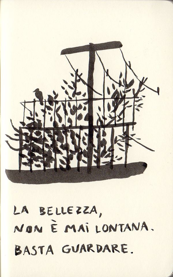 Cantieri Meticci